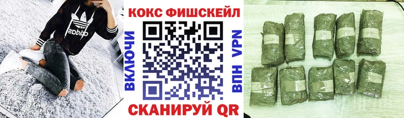 omg как зайти  как найти закладки  Кашира  Кокаин FishScale 