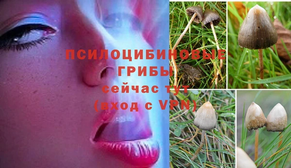 дмт Абдулино