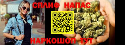амф Кандалакша