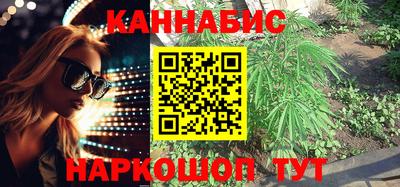 гидра Камышлов