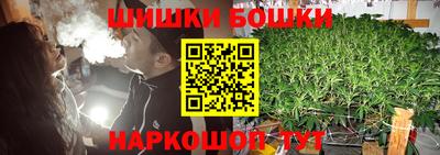 гидра Камышлов