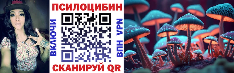 даркнет как зайти  KRAKEN tor  Кашира  Галлюциногенные грибы Cubensis 