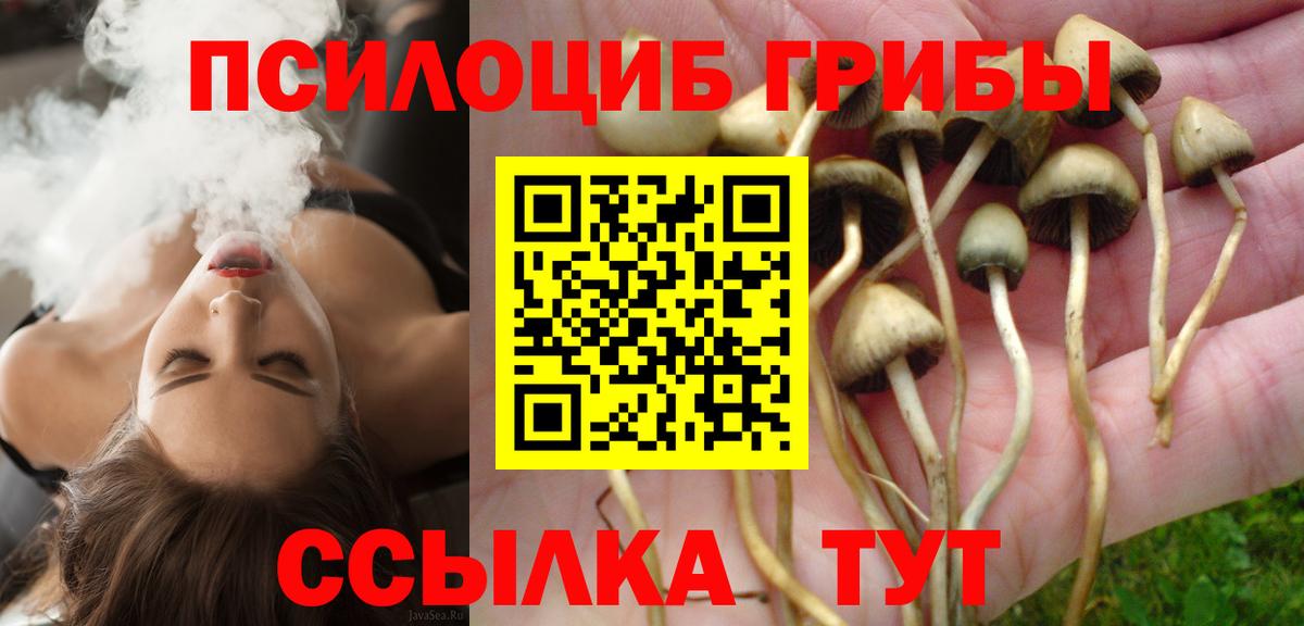 Галлюциногенные грибы Magic Shrooms Кашира