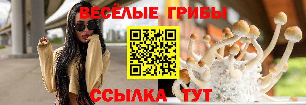 Псилоцибиновые грибы Cubensis  Вход с VPN  Кашира 